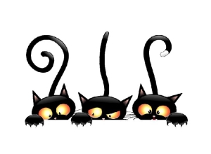 "Curious Cats" Sticker