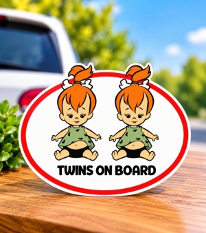 "Twins in the car" sticker