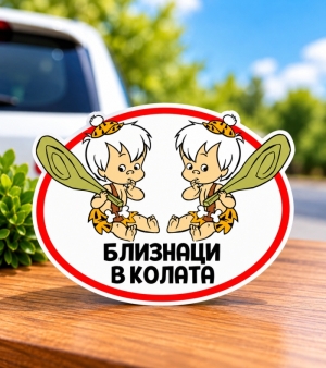 Стикер "Близнаци в колата"
